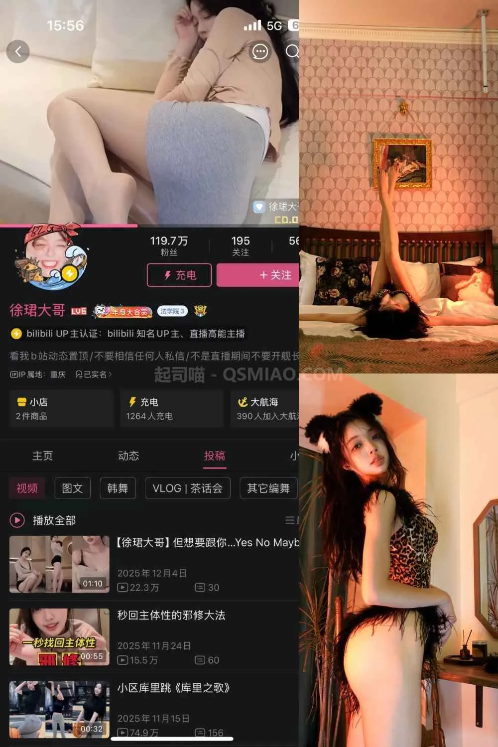 B站 徐珺大哥 微密圈 – NO.005 毛绒豹猫 [27P/387M] - 起司喵